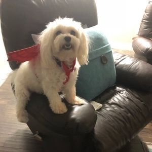 Meet your Posher, Ana